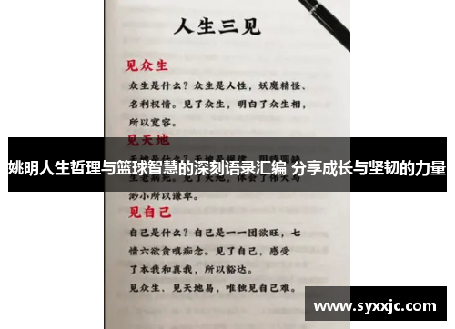 姚明人生哲理与篮球智慧的深刻语录汇编 分享成长与坚韧的力量