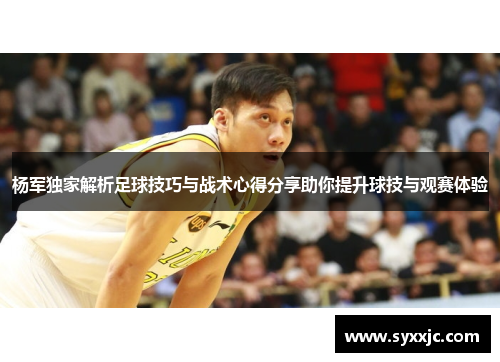 杨军独家解析足球技巧与战术心得分享助你提升球技与观赛体验