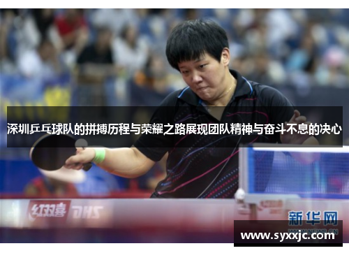 深圳乒乓球队的拼搏历程与荣耀之路展现团队精神与奋斗不息的决心